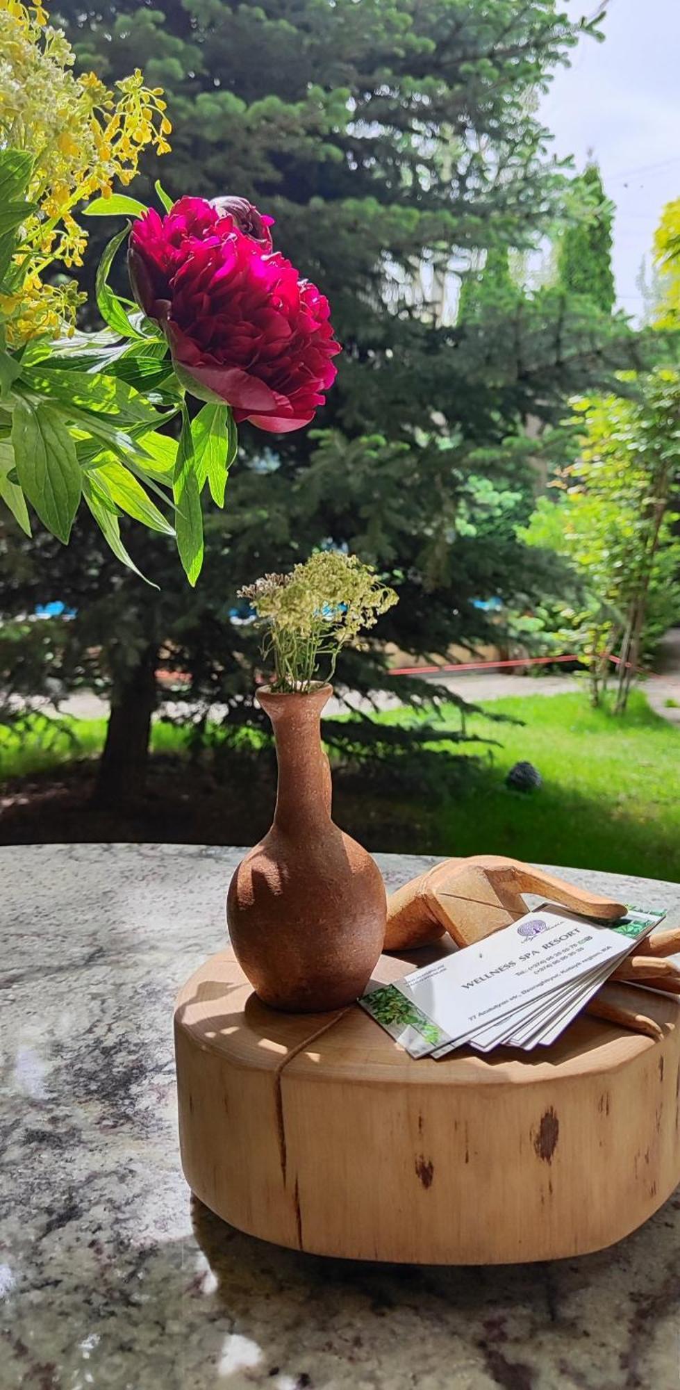 Aya Maria Wellness Spa Resort Dzoraghpʼyur Buitenkant foto