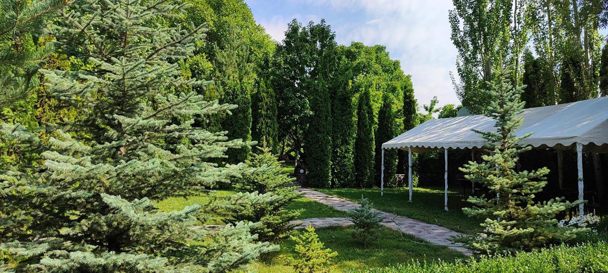 Aya Maria Wellness Spa Resort Dzoraghpʼyur Buitenkant foto
